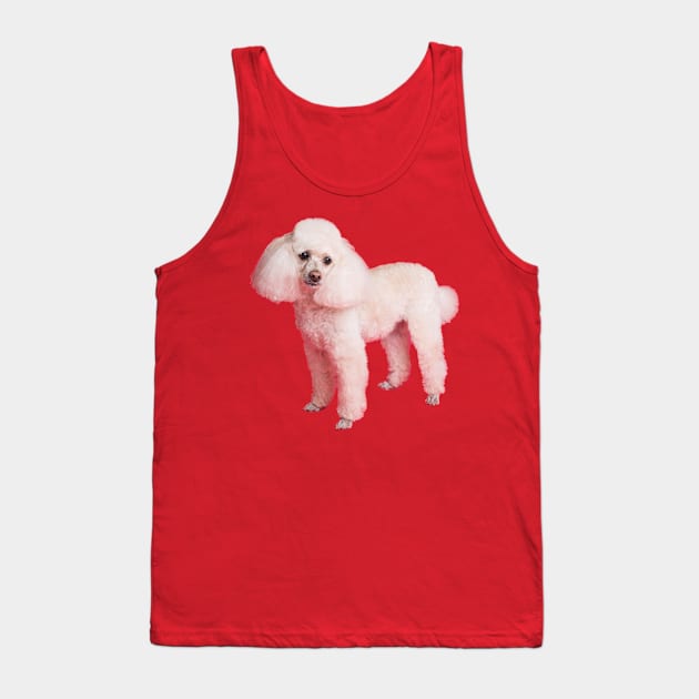 Cute poodle Tank Top by Sarahsartfulstudies